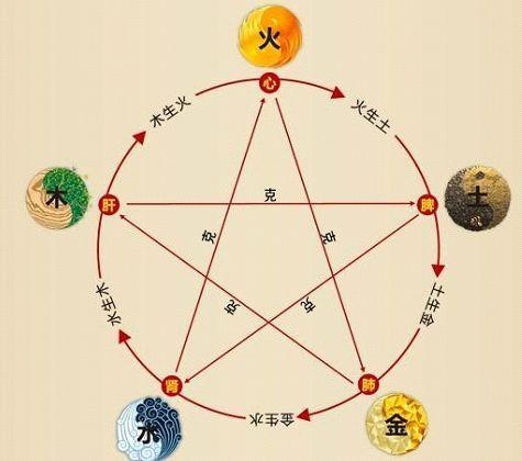 鐵算算盤4887最準(zhǔn)資料，揭秘精準(zhǔn)算盤的秘密，揭秘鐵算算盤4887，精準(zhǔn)預(yù)測的秘密資料分享