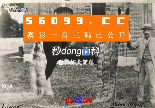 澳門王中王心水王中王，解析其背后的奧秘與吸引力，澳門王中王心水奧秘與吸引力的解析