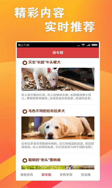7777788888跑狗游戲免費(fèi)下載指南，跑狗游戲下載指南，免費(fèi)下載跑狗游戲攻略