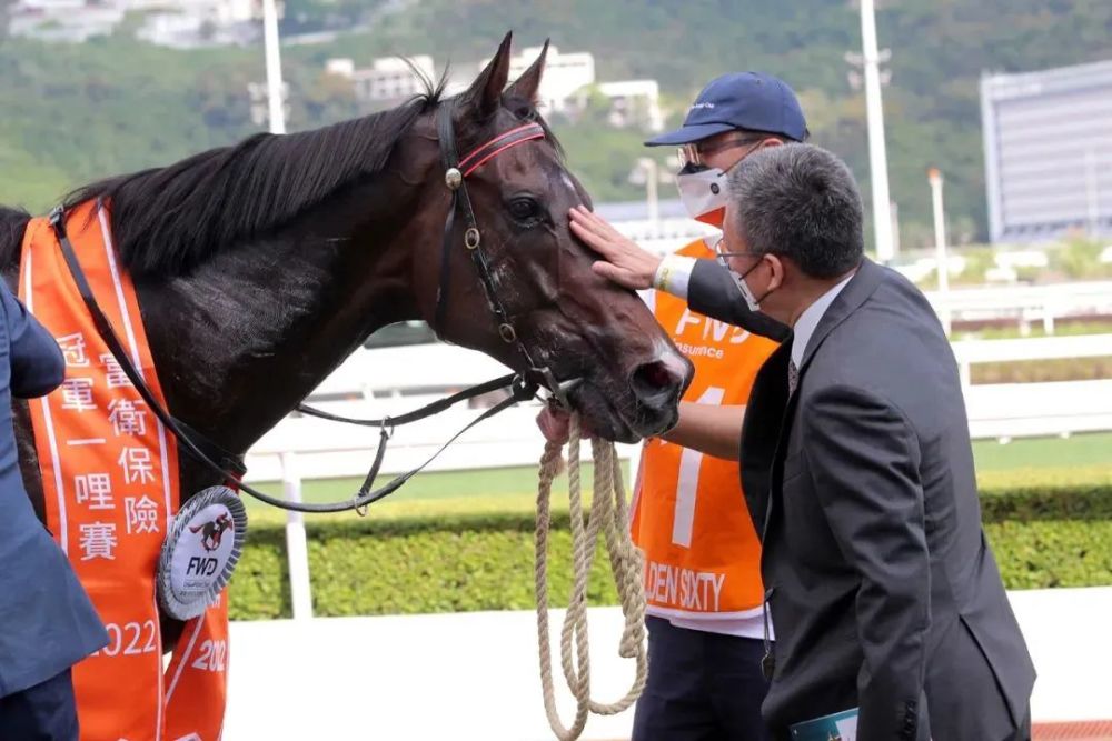探索香港馬官網(wǎng)，7777788888的獨特魅力與全方位信息，探索香港馬官網(wǎng)，獨特魅力與全方位信息一網(wǎng)打盡