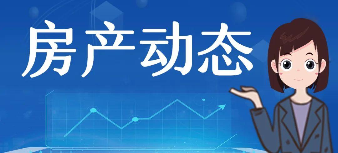 2025年展望（或解析）