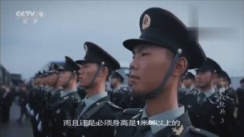 儀仗隊(duì)身高要求