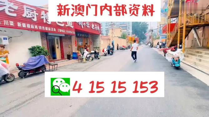 探索未來，2025新澳門天天開好彩的無限可能，探索未來，澳門彩票的無限可能與新機遇（2025年展望）