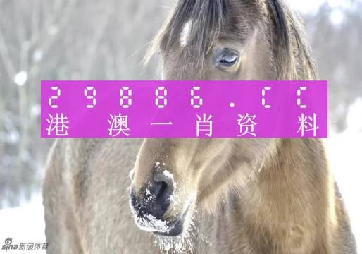 澳門一肖一碼背后的故事，揭秘精準(zhǔn)預(yù)測背后的秘密，澳門一肖一碼揭秘，精準(zhǔn)預(yù)測背后的神秘故事