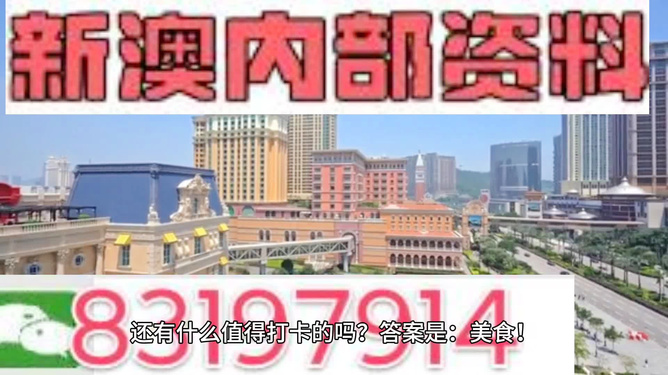 新澳門精準(zhǔn)800圖庫(kù)，探索與解析，新澳門精準(zhǔn)800圖庫(kù)，深入探索與詳細(xì)解析