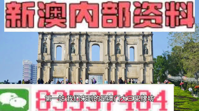新澳2025全年正版資料全面解析與SEO優(yōu)化策略，新澳2025全年正版資料深度解析與SEO優(yōu)化攻略