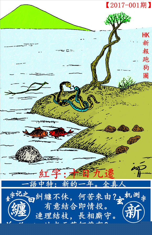 探索最新跑狗圖2025高清圖片，最新動態(tài)與獨特魅力，探索最新跑狗圖2023高清圖片，獨特魅力與最新動態(tài)揭秘