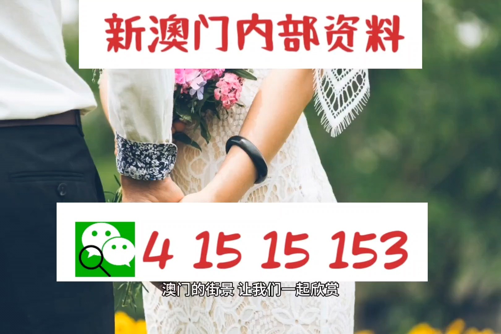 澳門九龍圖庫2025年104期預(yù)測——深度分析與展望，澳門九龍圖庫2025年104期預(yù)測，深度分析與展望未來