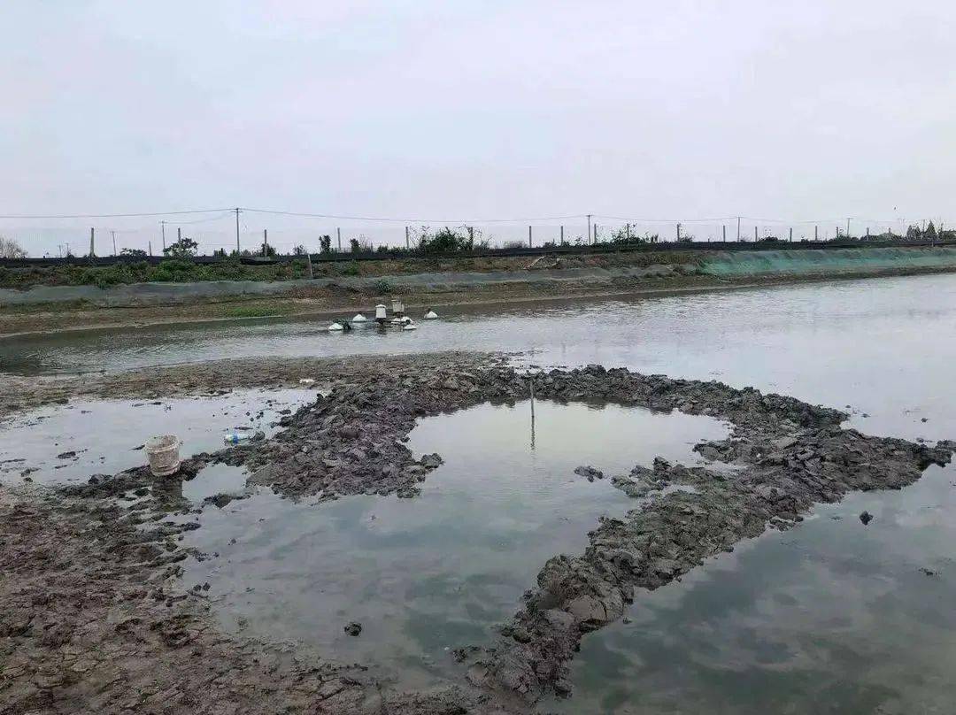 澳門彩票中心，最新資訊與查詢指南關(guān)于新澳門搖號(hào)結(jié)果查詢 2025年展望，澳門彩票中心，最新資訊與查詢指南——新澳門搖號(hào)結(jié)果展望2025年
