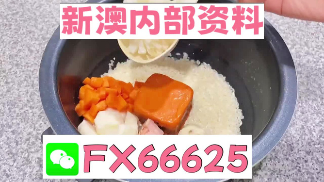 探索未來，2024新奧精準(zhǔn)免費大全詳解，揭秘未來，2024新奧精準(zhǔn)免費大全深度解讀