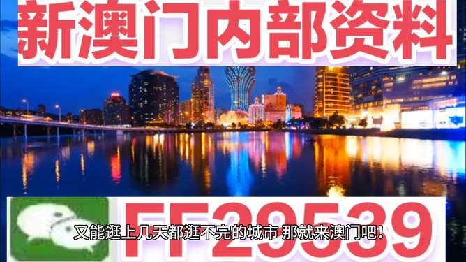 澳門特馬今晚開獎一，探索彩票背后的秘密與期待，澳門特馬今晚開獎，揭秘彩票背后的秘密與期待大獎的激動心情