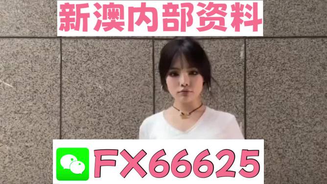4887正版資料大全——您不可或缺的權(quán)威資源指南，4887正版資料大全，權(quán)威資源指南
