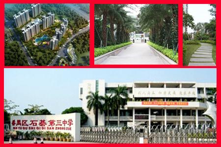 內(nèi)部資料三碼中特，揭秘其重要性及如何優(yōu)化SEO策略，揭秘內(nèi)部資料三碼中特，重要性及SEO策略優(yōu)化指南