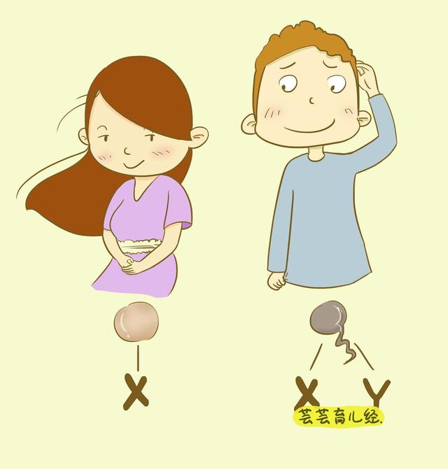 全面指南