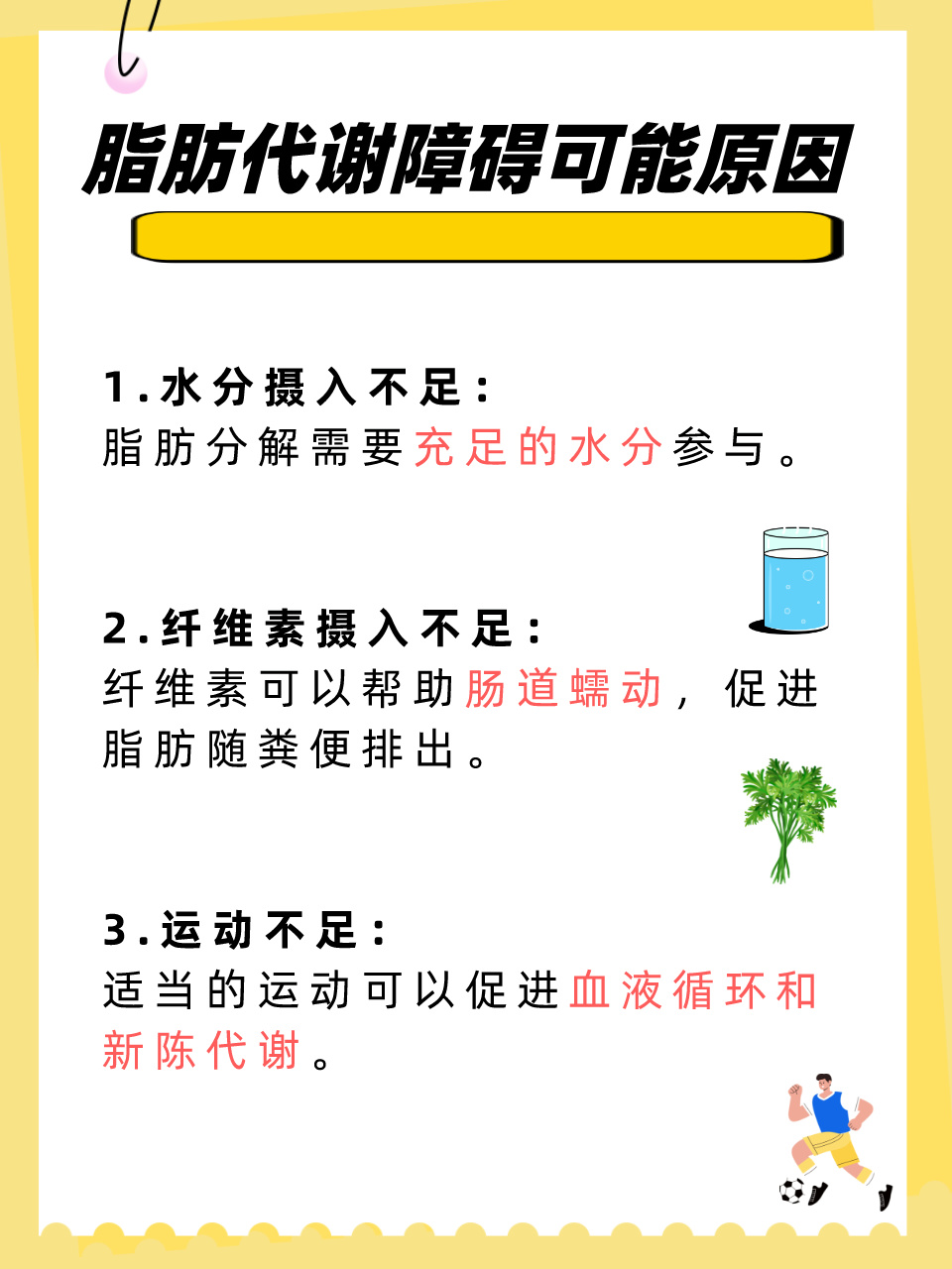 探索溶解脂肪最有效的方法——科學(xué)減重，重塑健康生活方式，科學(xué)減重，探索最有效的溶解脂肪方法，重塑健康生活方式之路