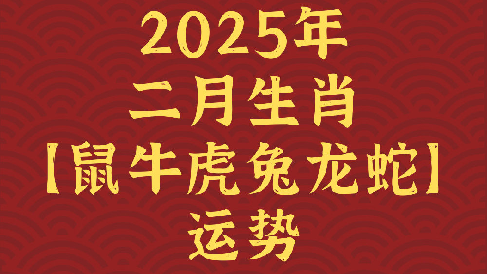 老鼠報(bào)網(wǎng)二肖①碼，揭秘背后的故事與SEO優(yōu)化策略，揭秘老鼠報(bào)網(wǎng)二肖碼背后的故事與SEO優(yōu)化策略揭秘