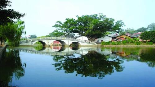 土耳其旅游，探索千年文明的神秘之旅，土耳其之旅，探尋千年文明的神秘之旅