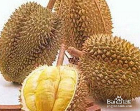 榴蓮的功效與作用禁忌，全面解析榴蓮的營養(yǎng)價值及注意事項，榴蓮的全面解析，功效、營養(yǎng)價值與禁忌事項