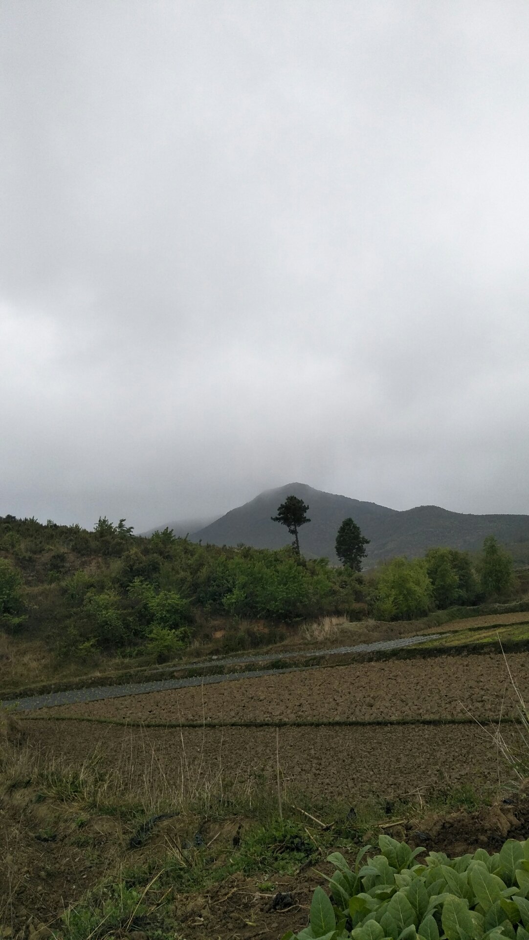 白龍鄉(xiāng)最新天氣預(yù)報，白龍鄉(xiāng)最新天氣預(yù)報通知