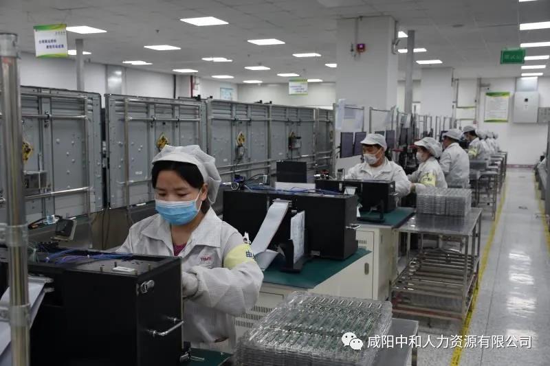 秦都區(qū)初中最新招聘信息概覽與求職指南，秦都區(qū)初中最新招聘信息及求職指南全解析