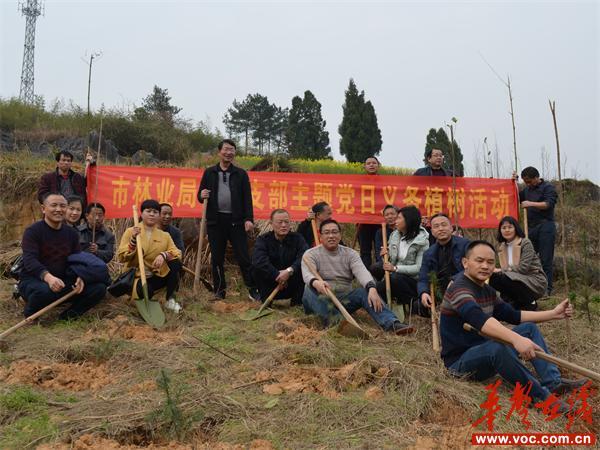 武岡市住房和城鄉(xiāng)建設(shè)局最新項目，推動城市更新，提升民生福祉，武岡市住建局新項目推動城市更新，提升民生福祉